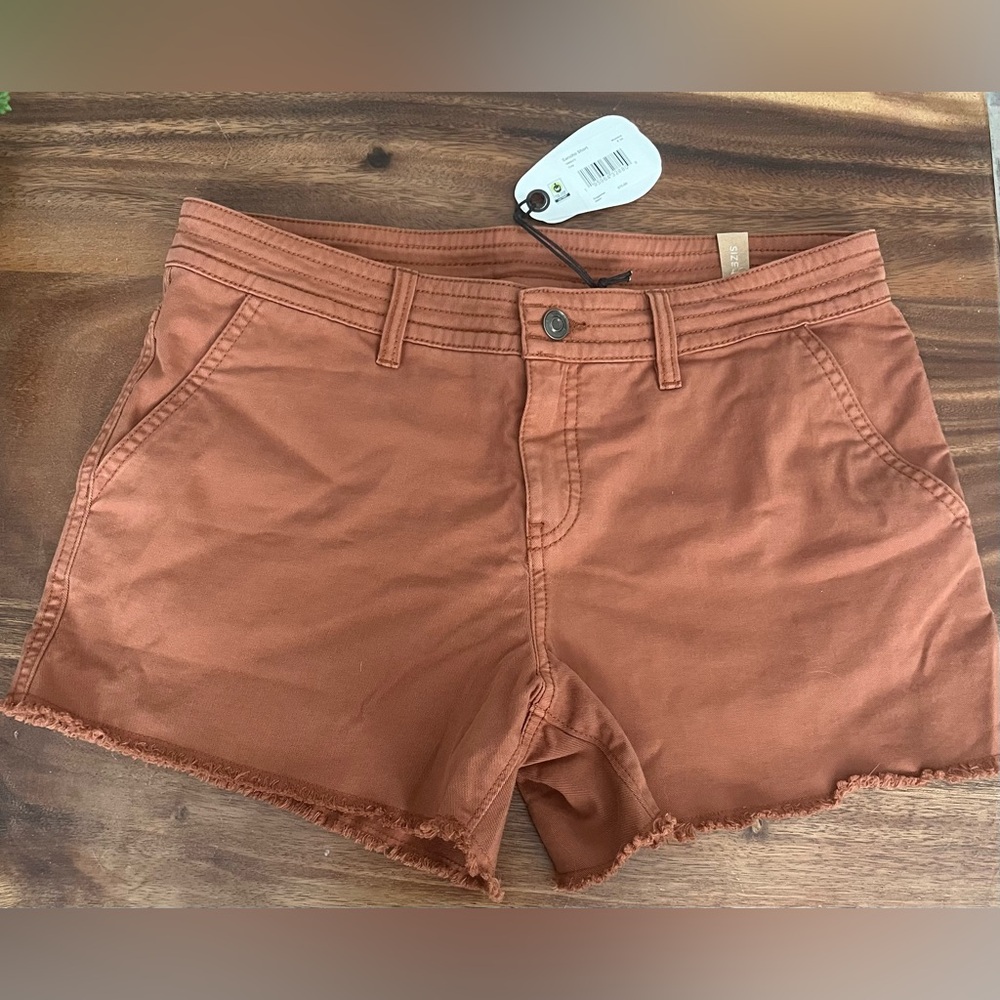 Prana Sancho Shorts, NWT in color Clay Size 8